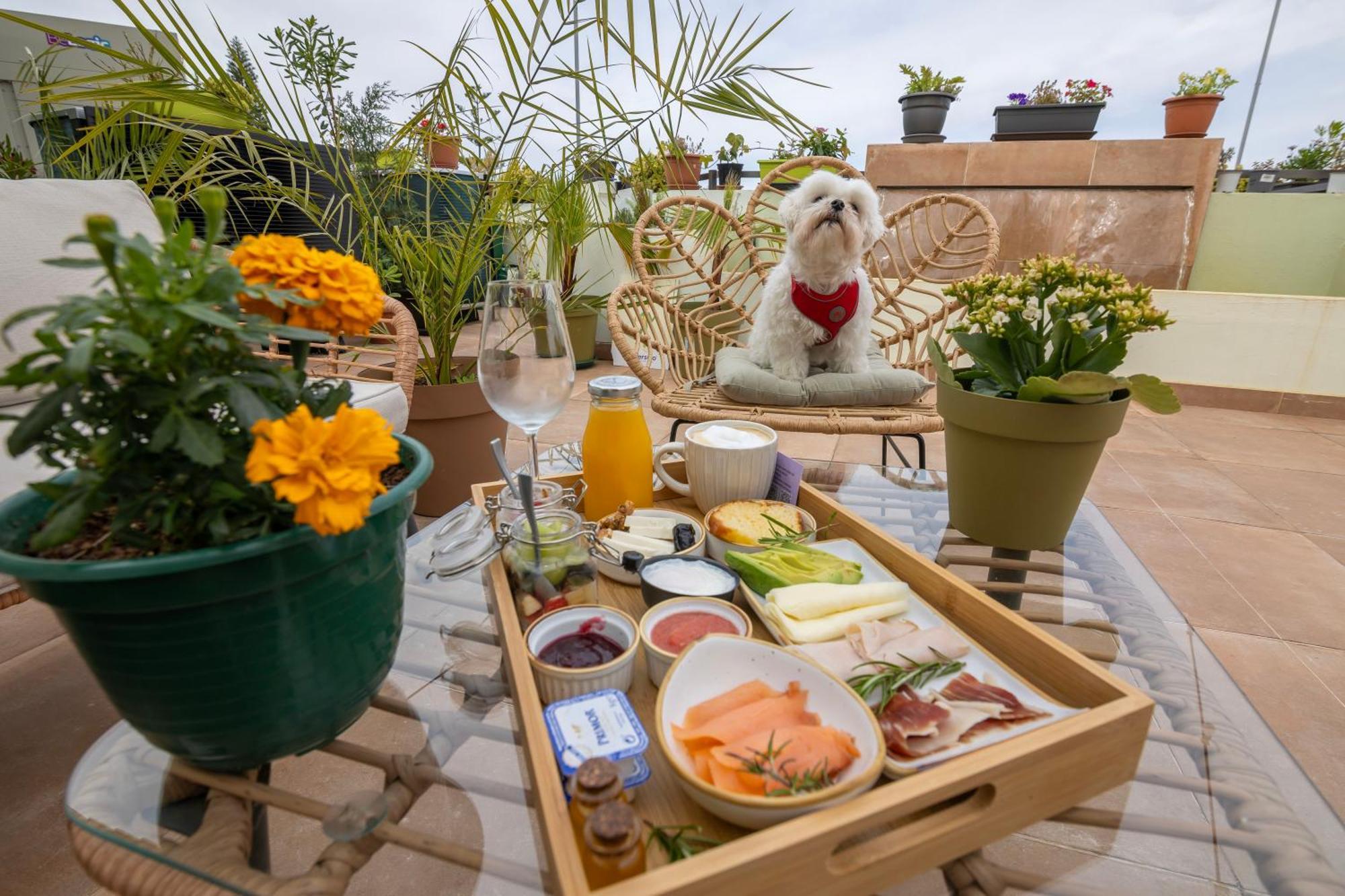 Growersgo Boutique Hostel هويلفا المظهر الخارجي الصورة